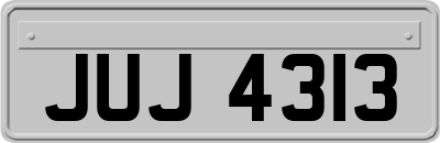 JUJ4313