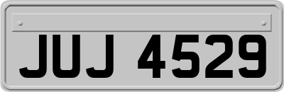 JUJ4529