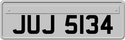 JUJ5134