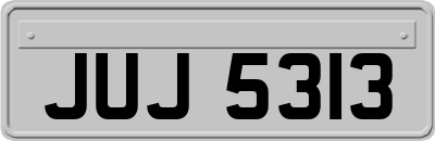 JUJ5313