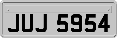 JUJ5954