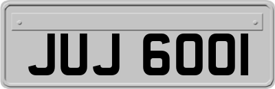 JUJ6001