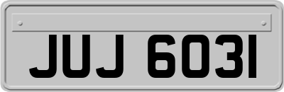 JUJ6031