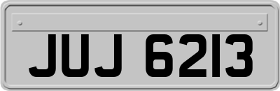 JUJ6213