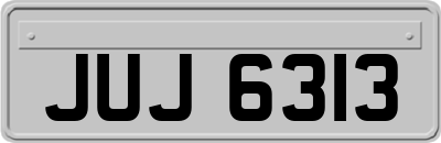 JUJ6313