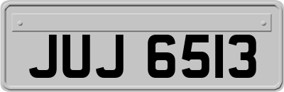 JUJ6513