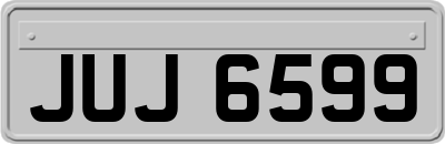 JUJ6599