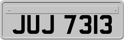 JUJ7313