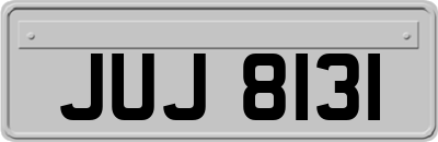 JUJ8131