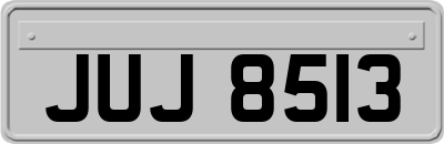 JUJ8513