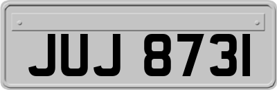 JUJ8731
