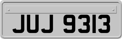 JUJ9313