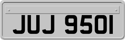 JUJ9501