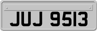 JUJ9513