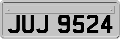 JUJ9524