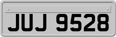 JUJ9528