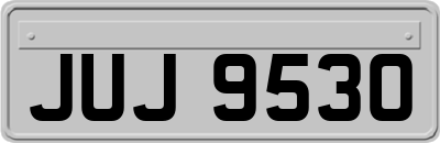 JUJ9530