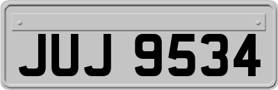 JUJ9534