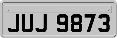 JUJ9873