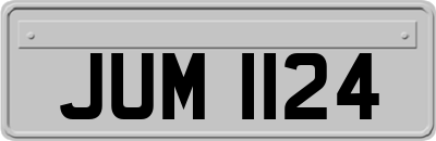 JUM1124