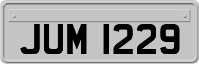 JUM1229