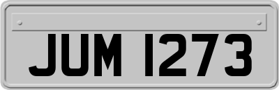 JUM1273