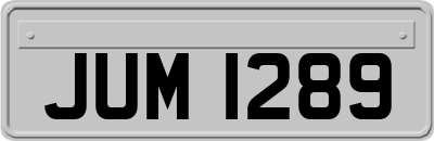 JUM1289