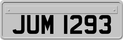 JUM1293
