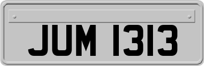 JUM1313