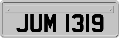 JUM1319