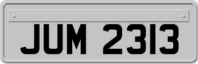 JUM2313