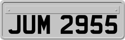 JUM2955