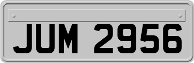 JUM2956
