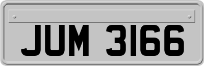 JUM3166