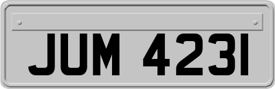 JUM4231