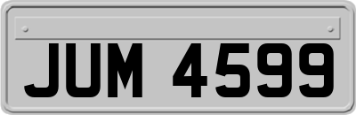 JUM4599