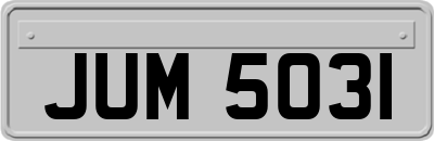 JUM5031