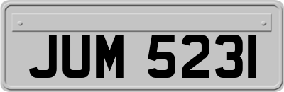 JUM5231