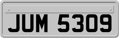 JUM5309