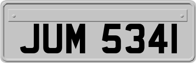 JUM5341