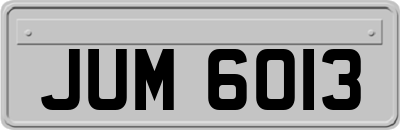 JUM6013