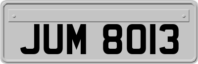 JUM8013