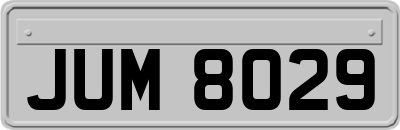 JUM8029