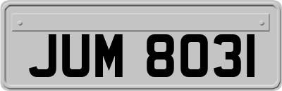 JUM8031