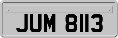 JUM8113