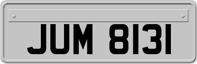 JUM8131