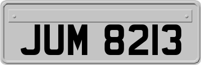 JUM8213