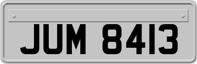 JUM8413