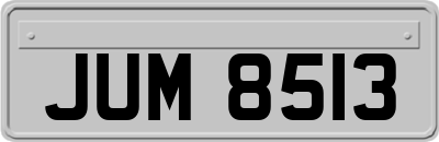 JUM8513