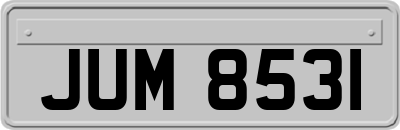 JUM8531